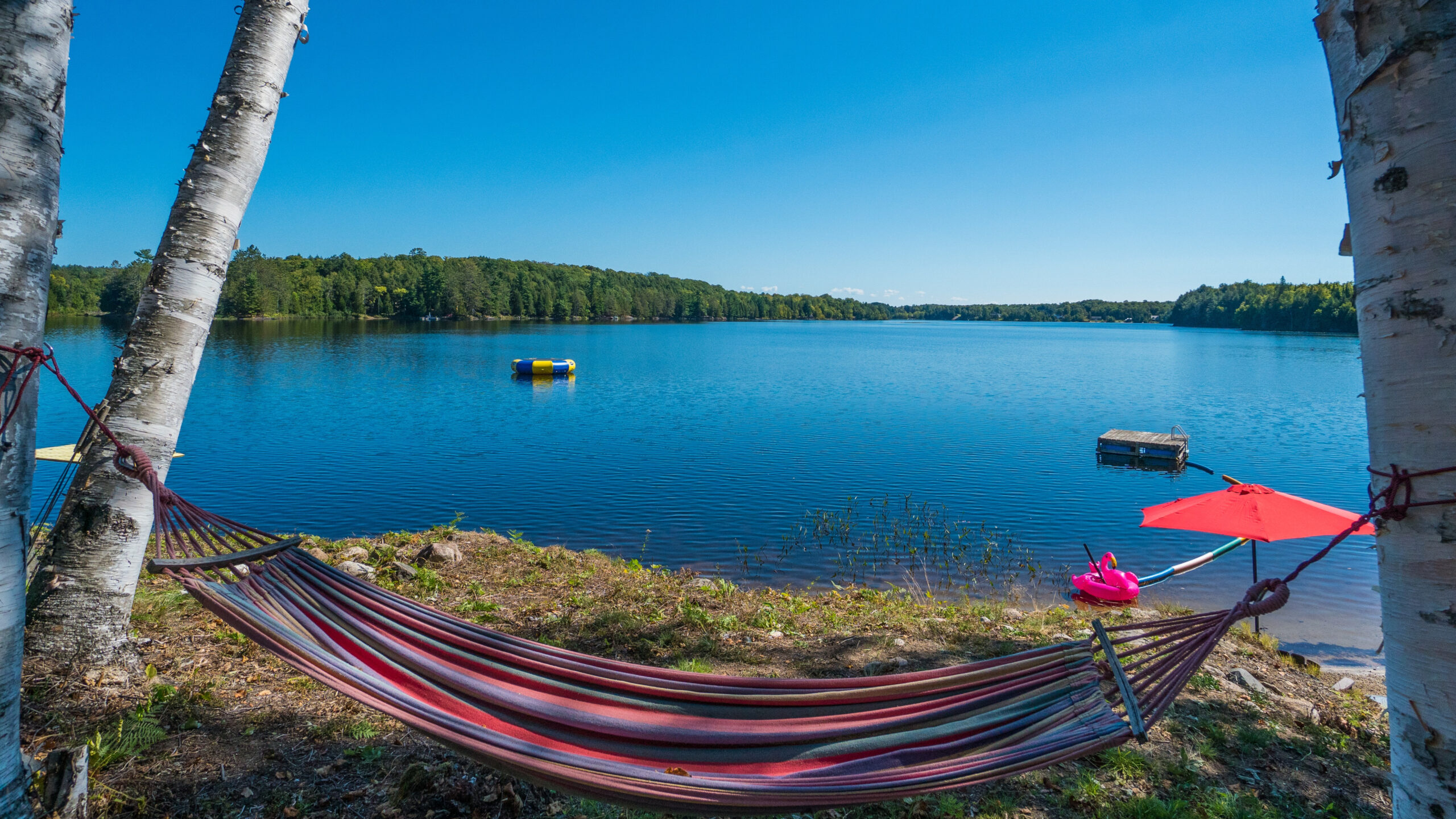 Harvest Moon Cottage Hammock